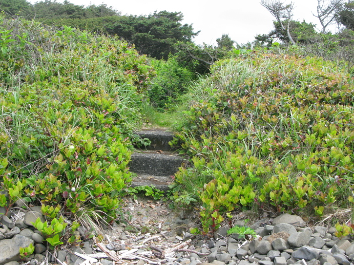 View of the steps, as seen from the beach.